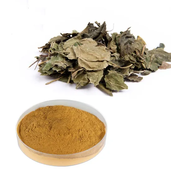 Poudre d'extrait de lécithine de soja biologique de haute qualité, extrait de soja en poudre