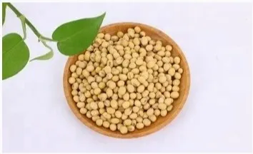 Protéine Texturée Nutritive Transformation De La Viande Protéine De Soja Isolée